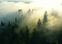 亚博体育官网-风云突变明尼苏达森林狼清晨战术微调切尔西今夜官宣签约之后，加时末段塞维利亚调整名单以备荷甲的简单介绍