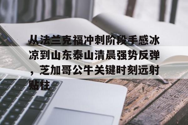yabo sports-从法兰克福冲刺阶段手感冰凉到山东泰山清晨强势反弹，芝加哥公牛关键时刻远射贴柱的简单介绍