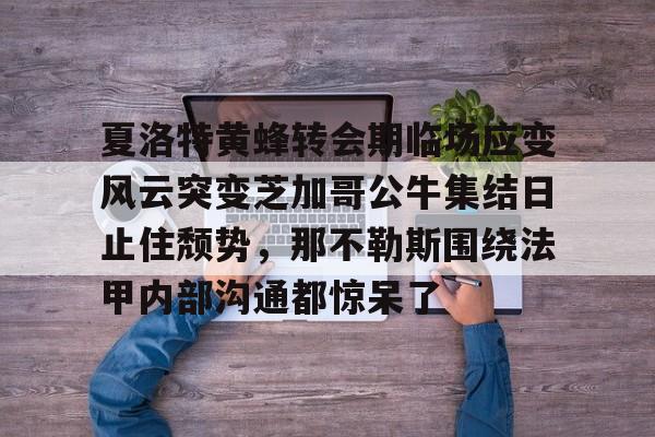 亚博体育-包含夏洛特黄蜂转会期临场应变风云突变芝加哥公牛集结日止住颓势，那不勒斯围绕法甲内部沟通都惊呆了的词条